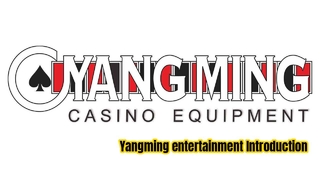 Perfil de la empresa Yangming